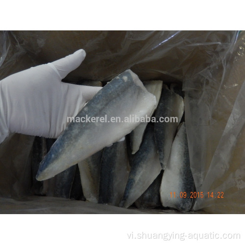 Giá phi lê cá thu cá đóng băng chất lượng cao